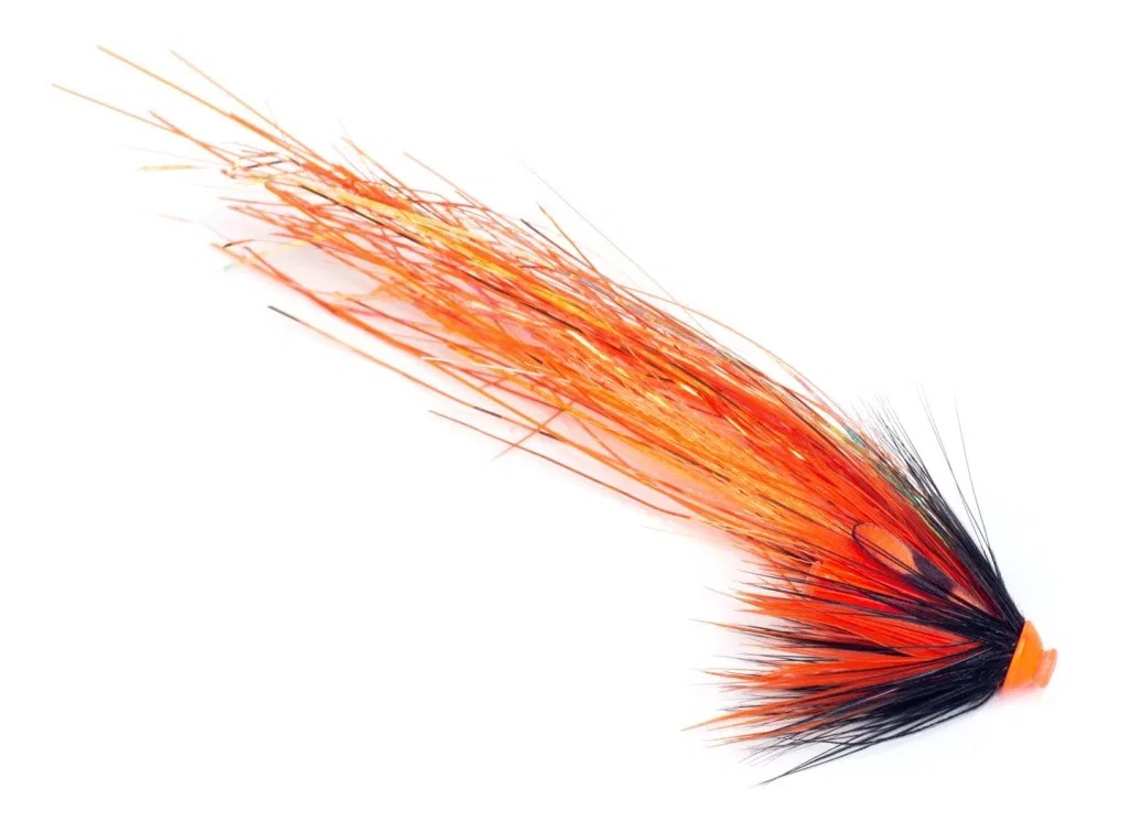 Guideline SG's Orange Flashwing