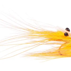 Pattegrisen Orange