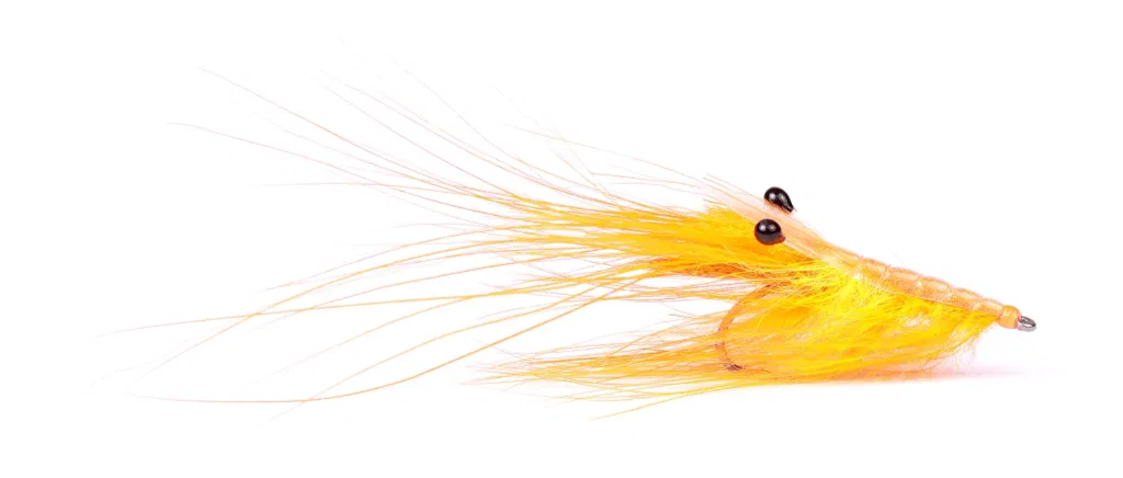 Pattegrisen Orange